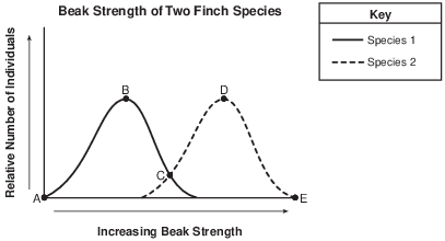 labs, lab, the beaks of finches fig: lenv62016-examw_g32.png